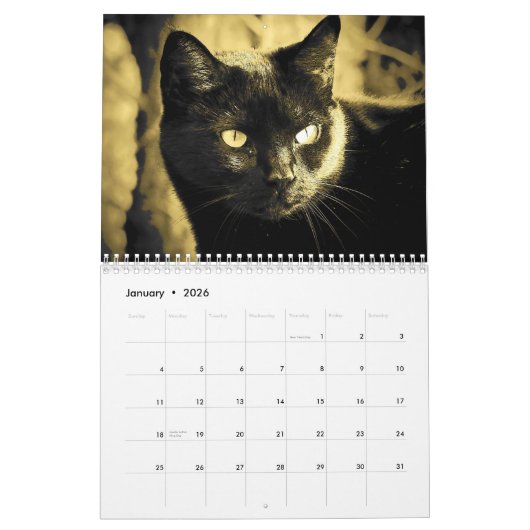 DJ's Cat Style 2 Kalender (Jan 2026)