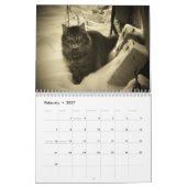 DJ's Cat Style 2 Kalender (Feb 2027)