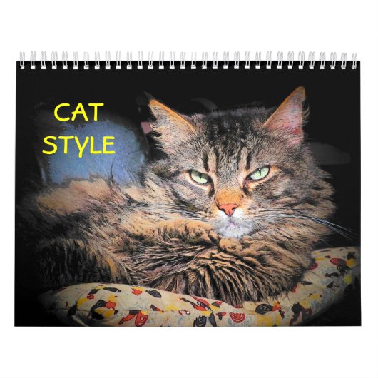 DJ's Cat Style Kalender (Hoes)