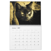 DJ's Cat Style Kalender (Jan 2027)