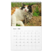 DJ's kat één pagina Kalender (Mar 2026)
