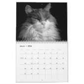 DJ's kat stijl in zwart-wit Kalender (Mar 2026)