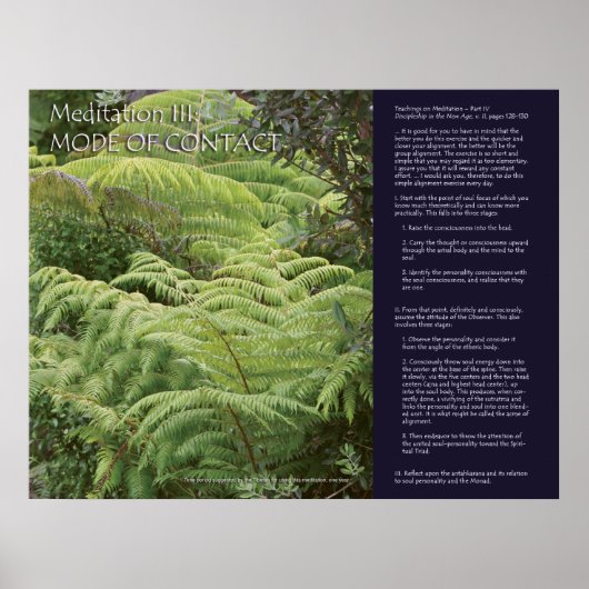 DK Meditation Series: Meditation III Poster (Voorkant)