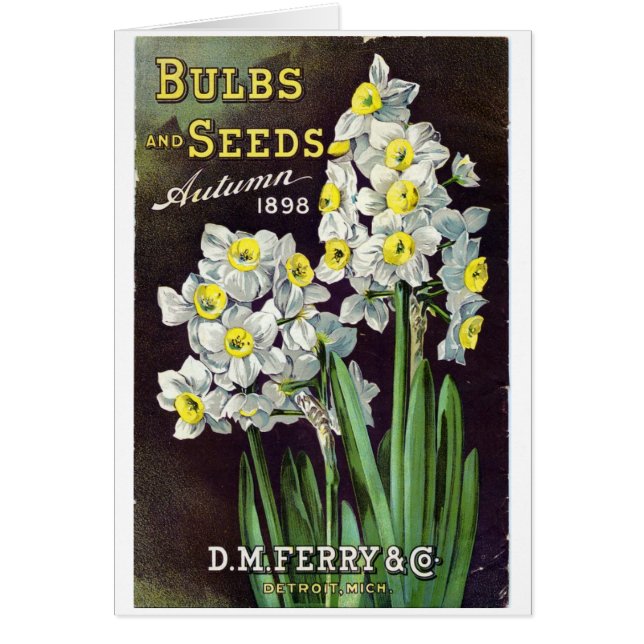 DM Ferry Seeds and Bulbs 1898 (Voorkant)