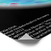 DNA (2012) Poster NodeEndo (Hoek)