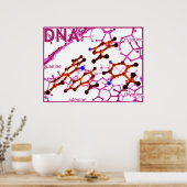 DNA-basen klein Poster (Keuken)