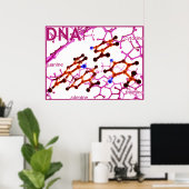 DNA-basen klein Poster (Thuiskantoor)