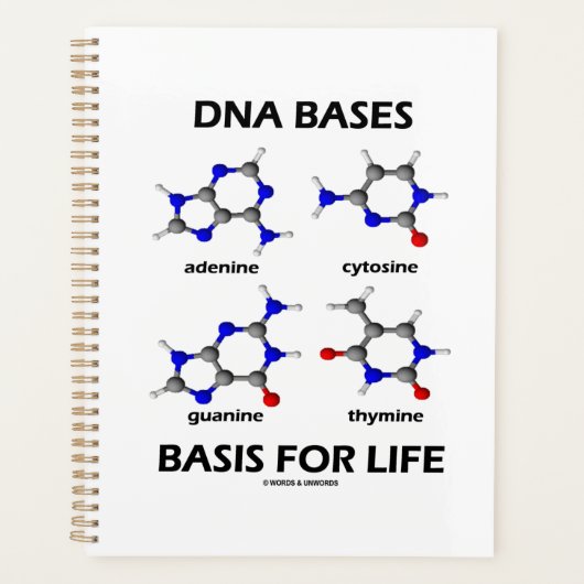 DNA-basen voor de moleculaire structuur van het le Planner (Voorkant)