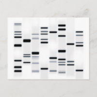 DNA-code Art Black op wit