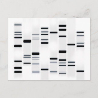 DNA-code Art Black op wit Briefkaart