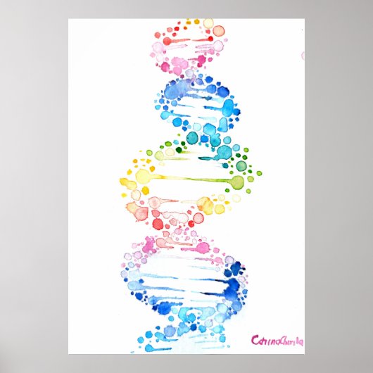 DNA, de spiraal van het leven Poster (Voorkant)