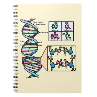 DNA Diagram Notitieboek