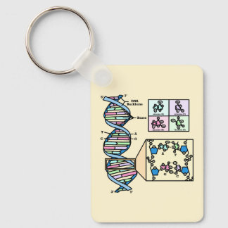 DNA Diagram Sleutelhanger