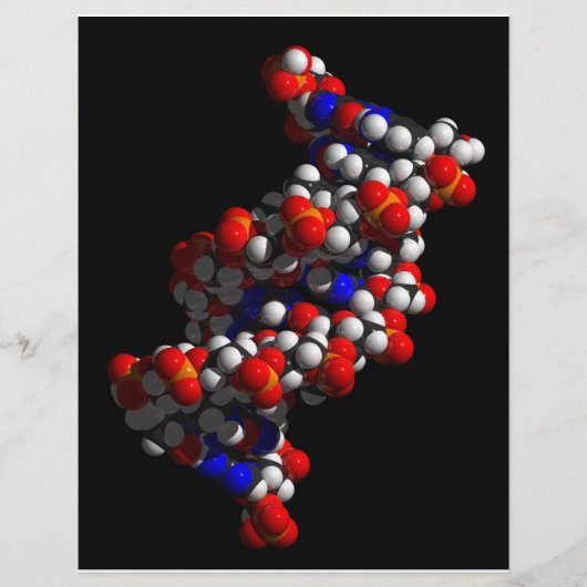 DNA Double Helix-model Flyer (Voorkant)
