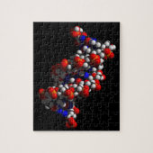 DNA Double Helix-model Legpuzzel (Verticaal)
