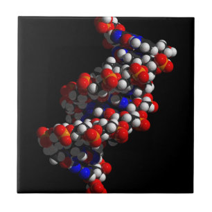 DNA Double Helix-model Tegeltje