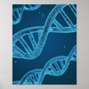 DNA Double Helix Poster