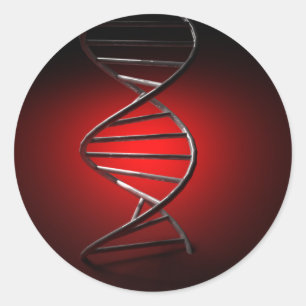 DNA Double Helix Ronde Sticker