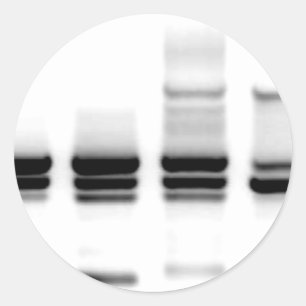 DNA Gel Ronde Sticker