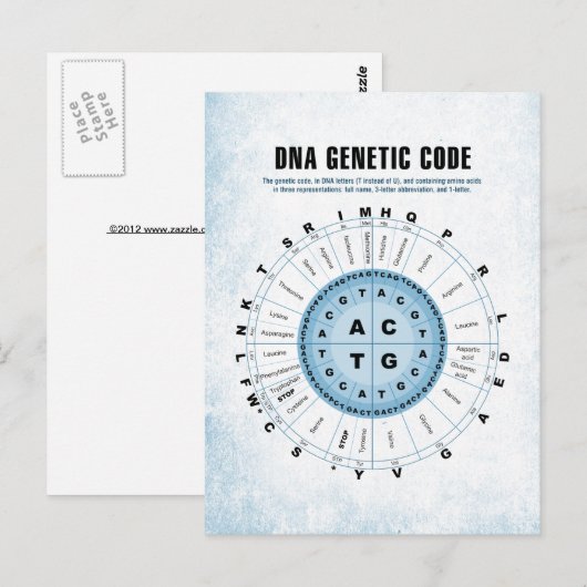 DNA-genetische code Briefkaart (Voorkant / Achterkant)