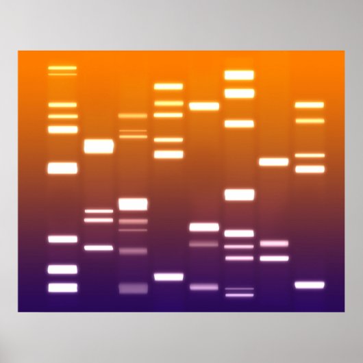 DNA-genetische code Oranje blauw Poster (Voorkant)
