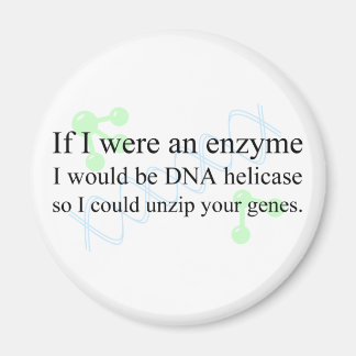 "DNA Helicase" Magneet