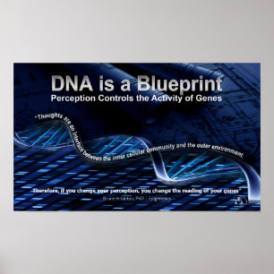 DNA is een Blueprint Poster
