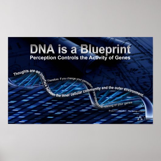 DNA is een Blueprint Poster (Voorkant)