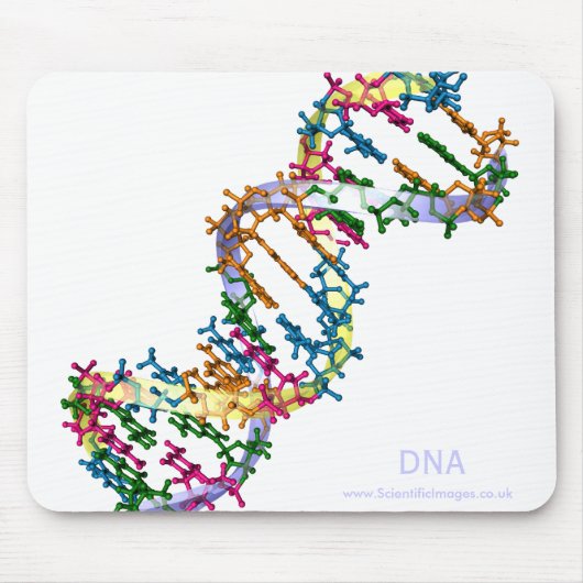DNA MUISMAT (Voorkant)