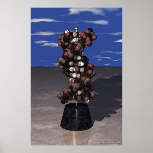 DNA op een standaard Poster (Voorkant)