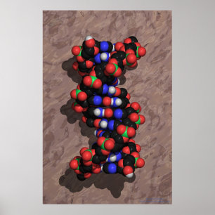 DNA op Stone Poster