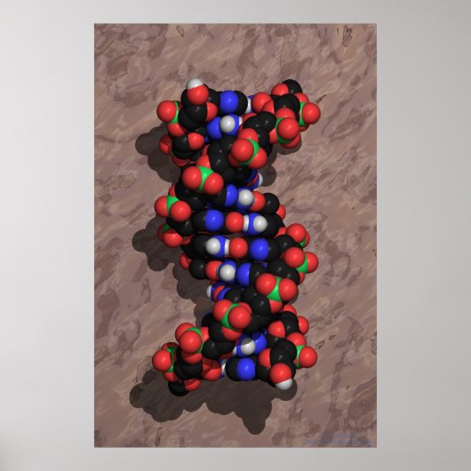 DNA op Stone Poster (Voorkant)