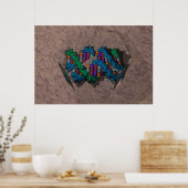 DNA Paperweight Poster (Keuken)