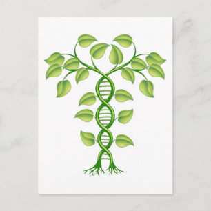 DNA-plant Briefkaart