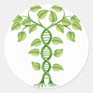 DNA-plant Ronde Sticker