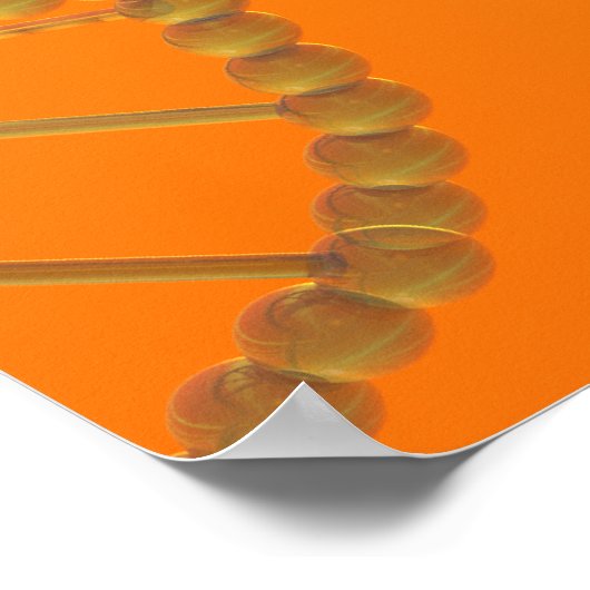 DNA-poster Poster (Hoek)