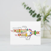 DNA-replicatie Briefkaart (Staand voorkant)