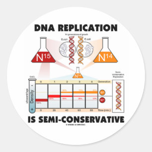 DNA-replicatie is semiconservatief Ronde Sticker