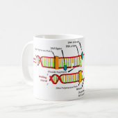 DNA-replicatie Koffiemok (Voorkant links)