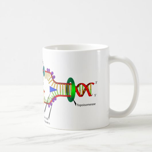 DNA-replicatie Koffiemok (Rechts)