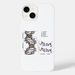 DNA-structuur Deoxyribonucleïnezuur basendiagram Case-Mate iPhone 14 Hoesje