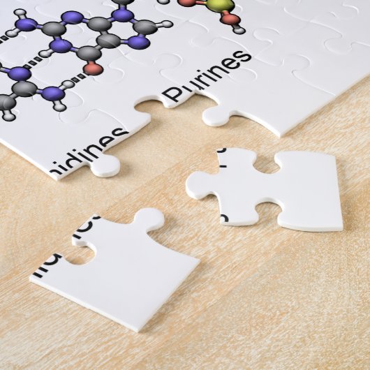 DNA-structuur Deoxyribonucleïnezuur basendiagram Legpuzzel (Zijkant)