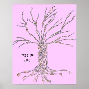 DNA TREE of Tree of Life POSTER PINK