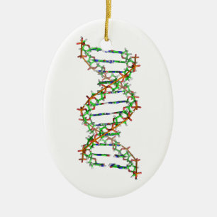 DNA - wetenschap/wetenschapper/biologie Keramisch Ornament