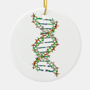 DNA - wetenschap/wetenschapper/biologie Keramisch Ornament