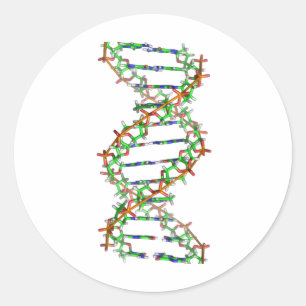 DNA - wetenschap/wetenschapper/biologie Ronde Sticker