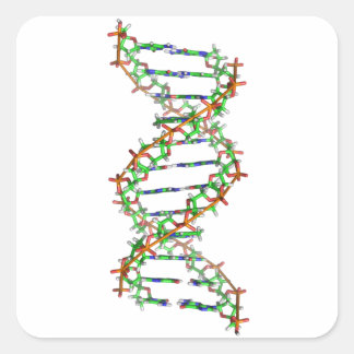 DNA - wetenschap/wetenschapper/biologie Vierkante Sticker