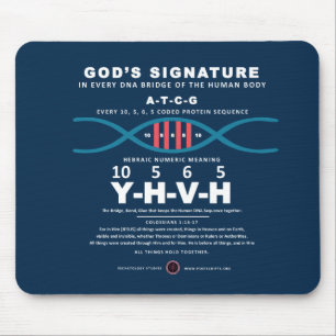 DNA-YHVH-code Muismat