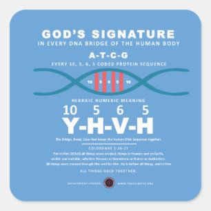 DNA-YHVH-code Vierkante Sticker