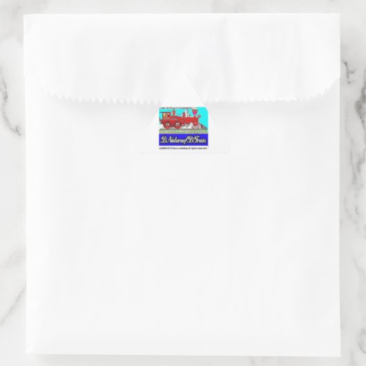 DNatureofDTrain Triangle Sticker (Sac)